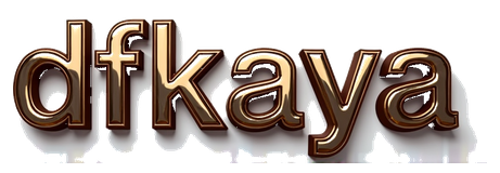 dfkaya logo